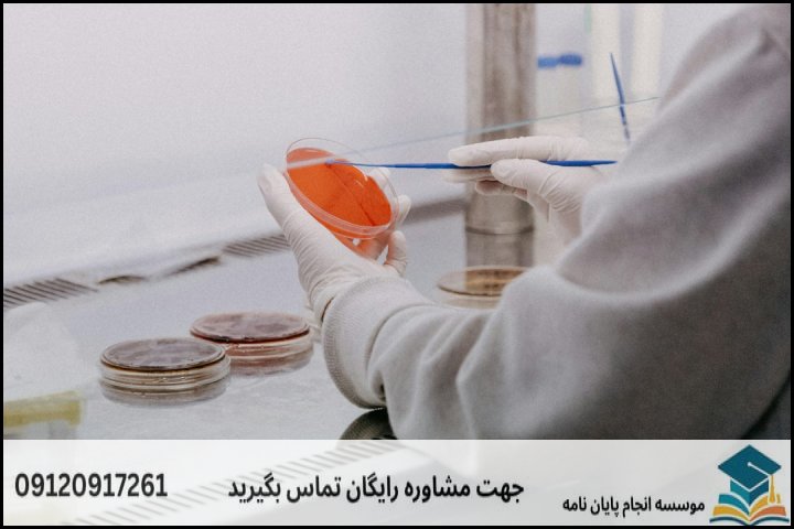 نقشه راه انجام پایاننامه دکتری کنترل کیفی مواد غذایی