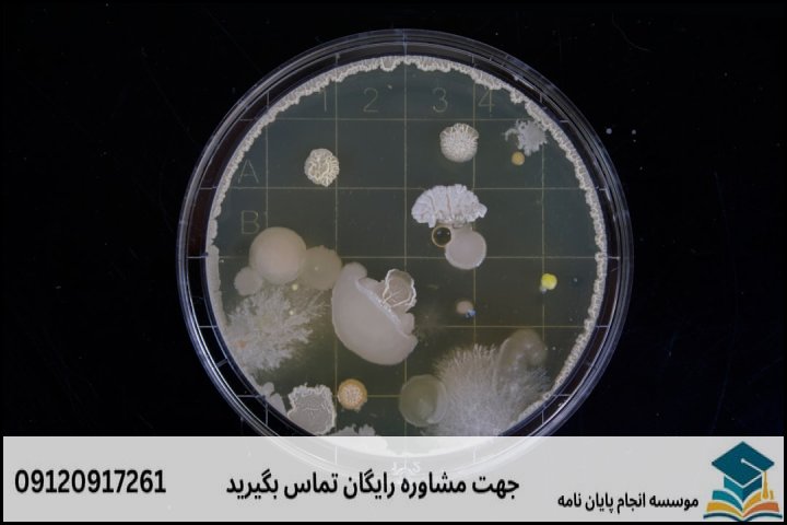 انجام پایان نامه دکتری رشته قارچ شناسی دامپزشکی + تضمینی